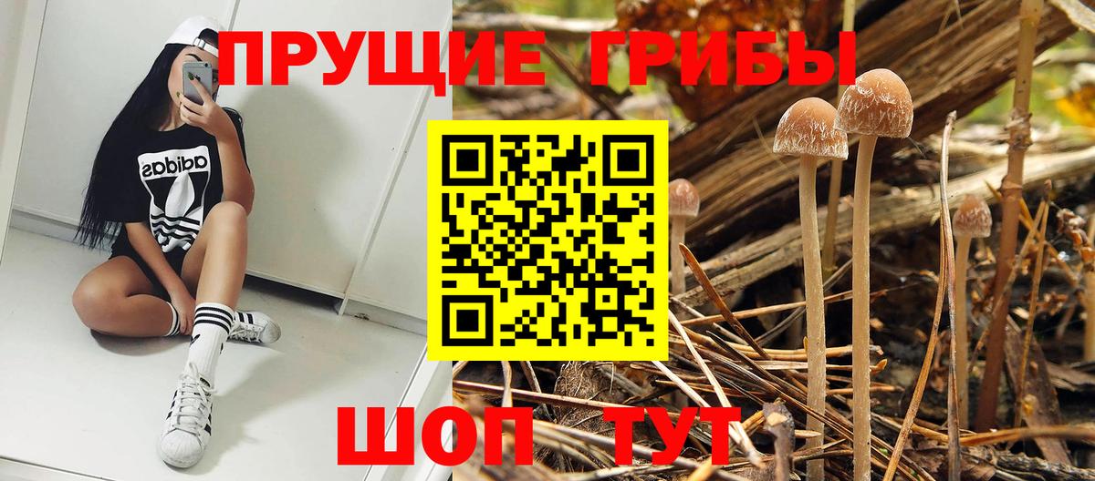 Галлюциногенные грибы Magic Shrooms Еманжелинск